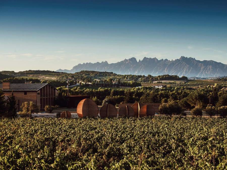 Presetanción Blancos Juv&eacute; & Camps