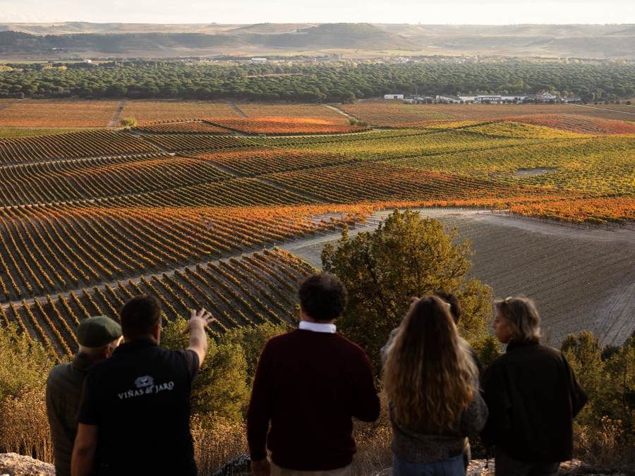 Visita Bodega Viñas del Jaro