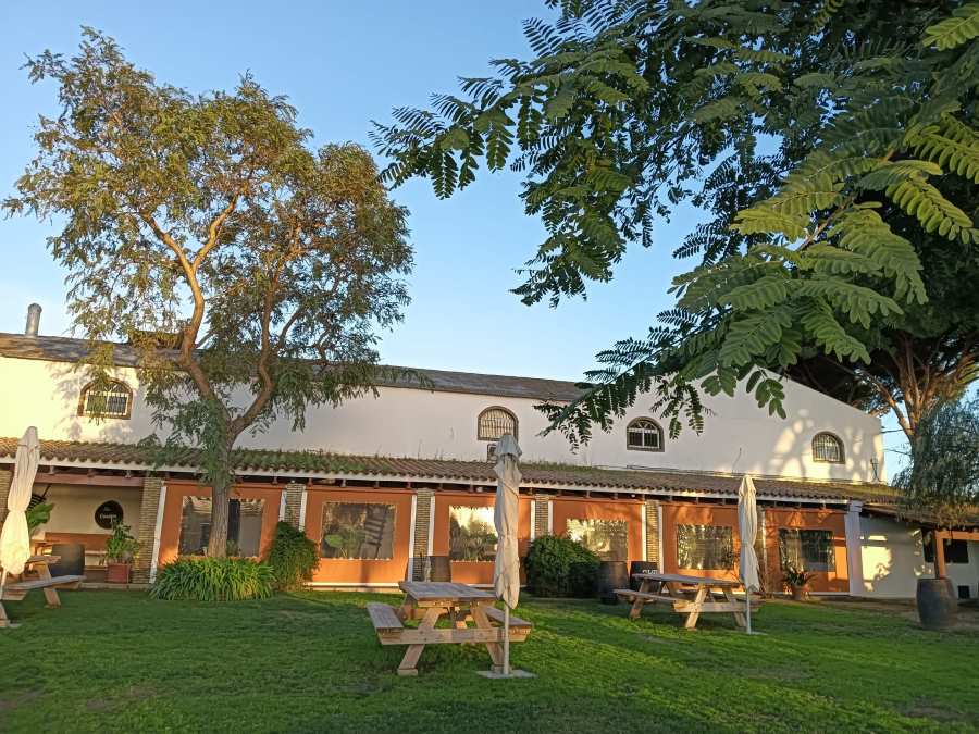 Logotipo Bodega Manuel Aragón