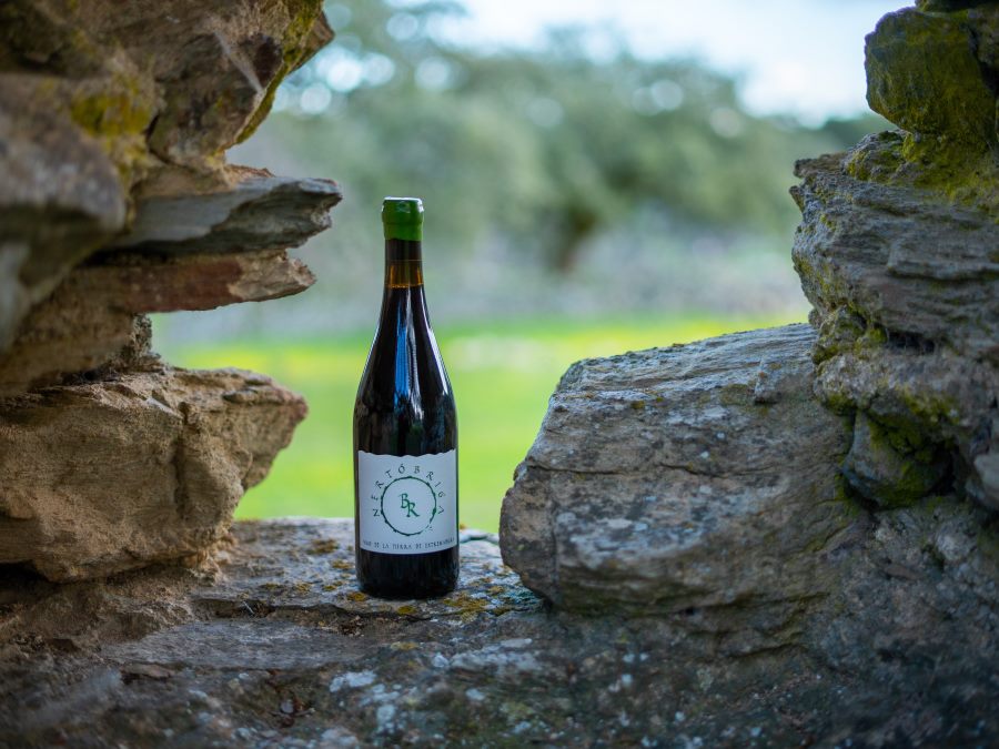 Vino Nertóbriga Bodegas Regajo