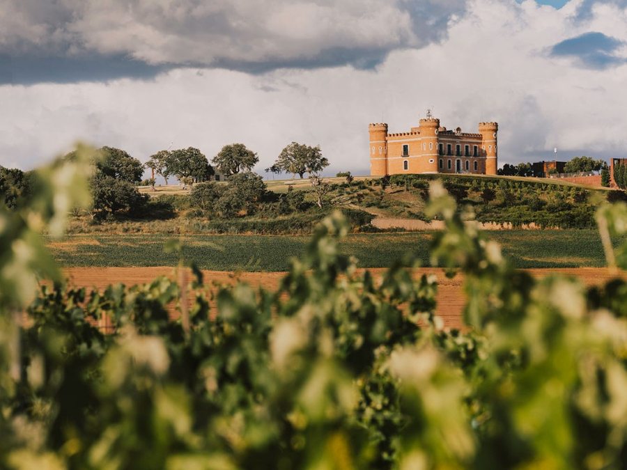 Logotipo Bodegas Monte la Reina