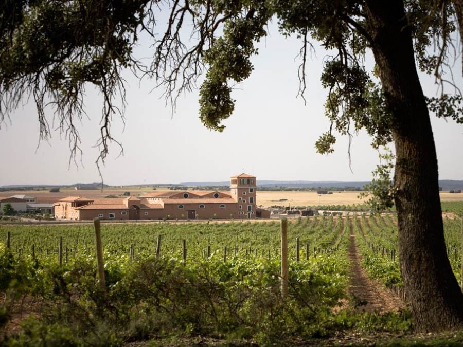BGA Vinos de la Tierra de Castilla