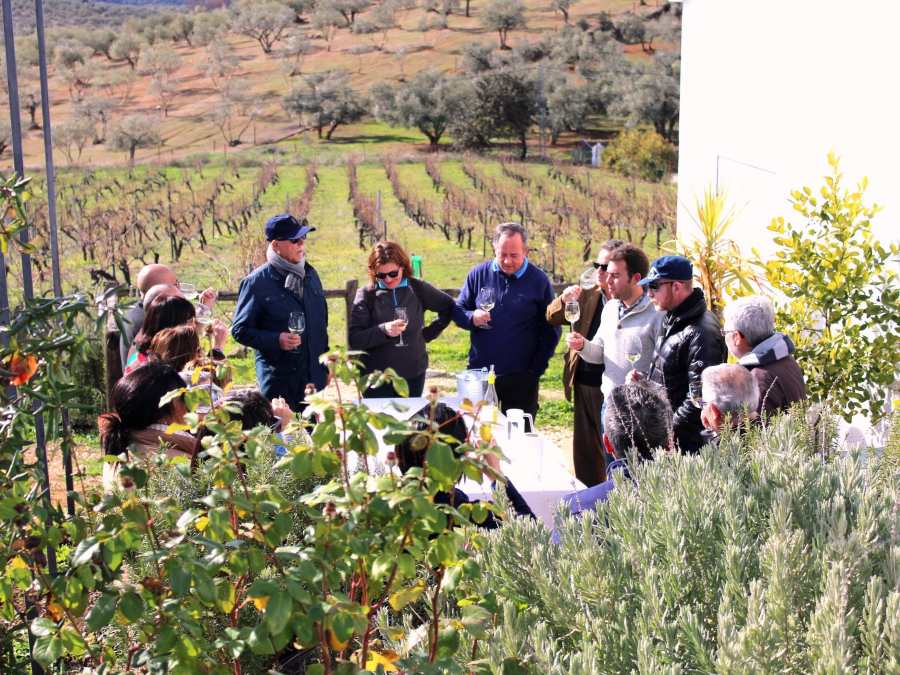 Logotipo Bodegas Tierra Savia