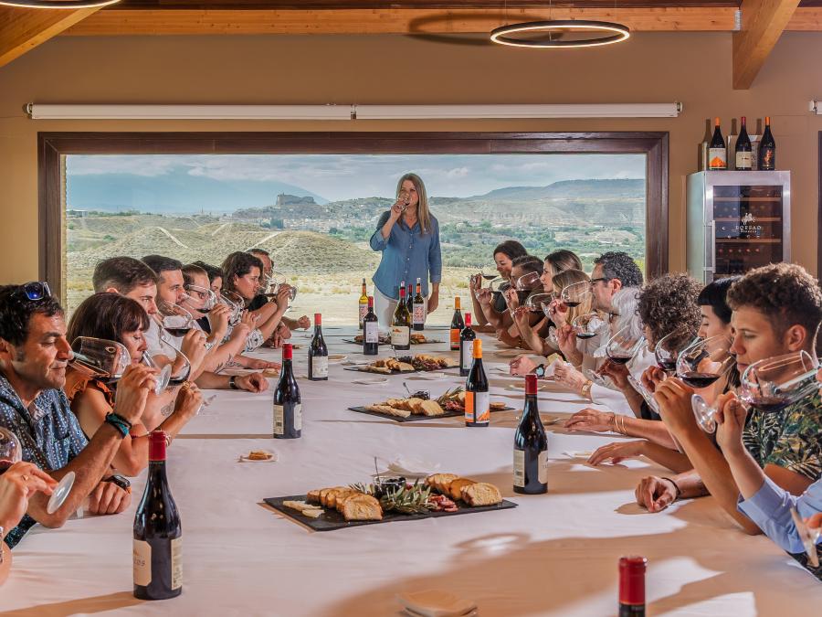 Cata de tomates autóctonos en Bodegas Borsao, Aragón