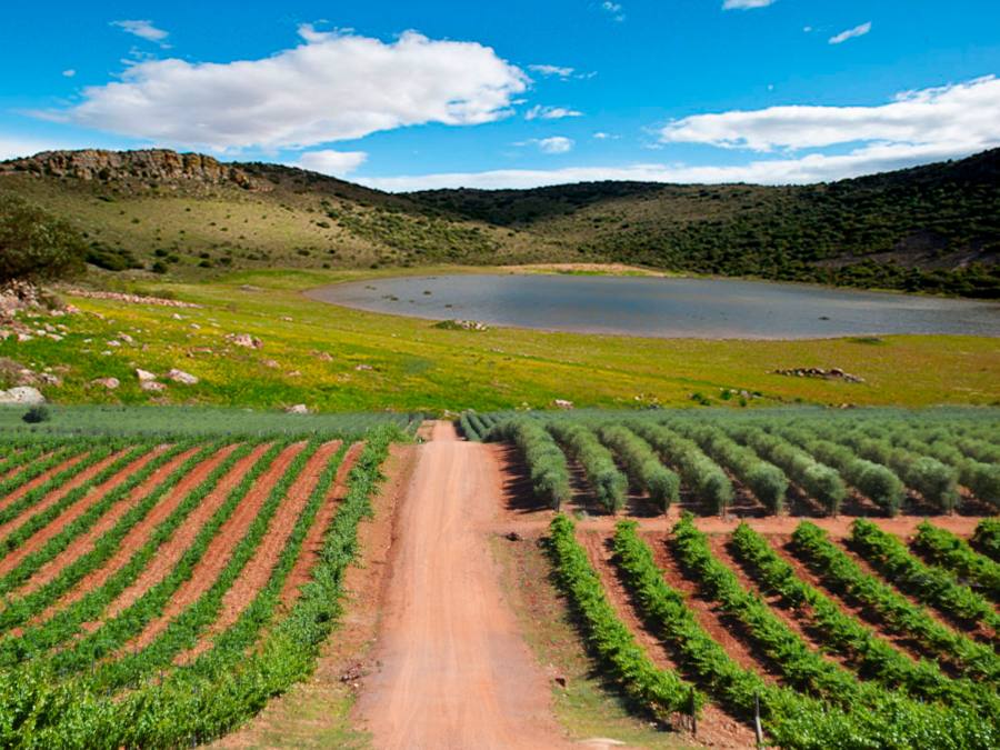 Bodega Encomienda de Cervera