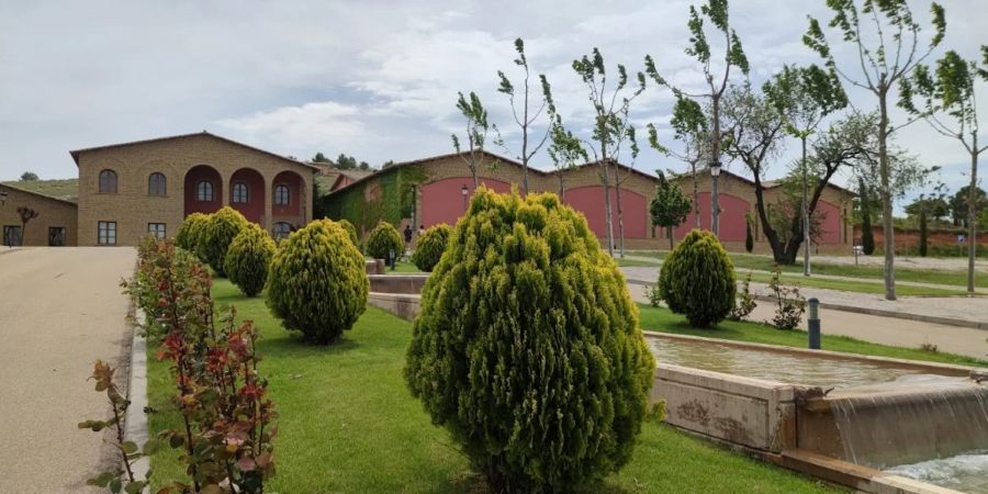Logotipo Bodega Tierra de Cubas