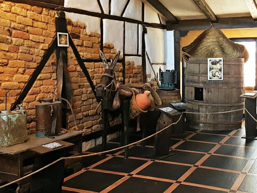 Logotipo Bodega Cuarta Generación