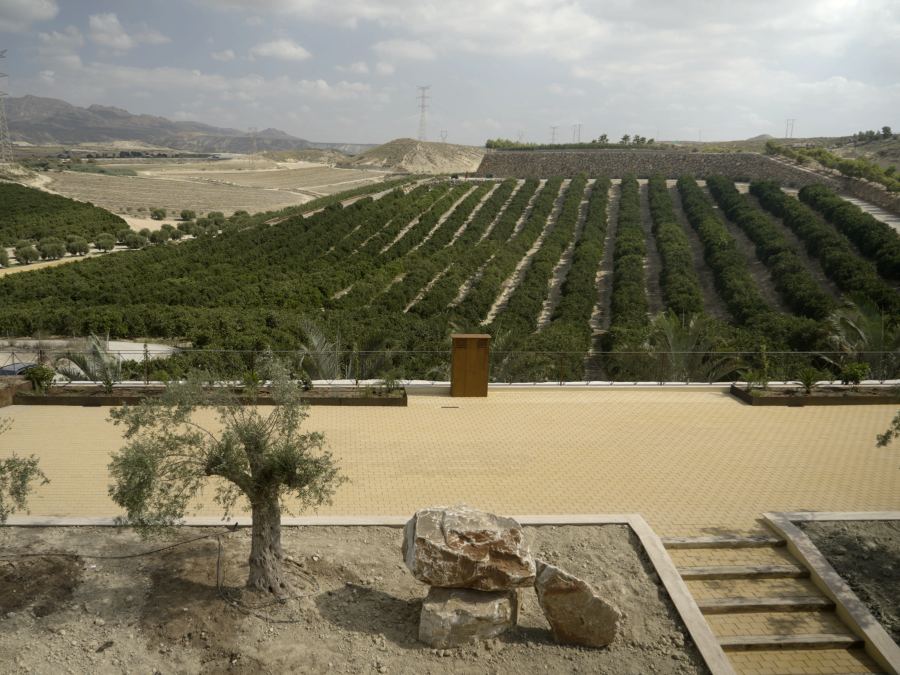 Bodega Sierra Almagrera, visita y cata en Cuevas del Almanzora, Almería
