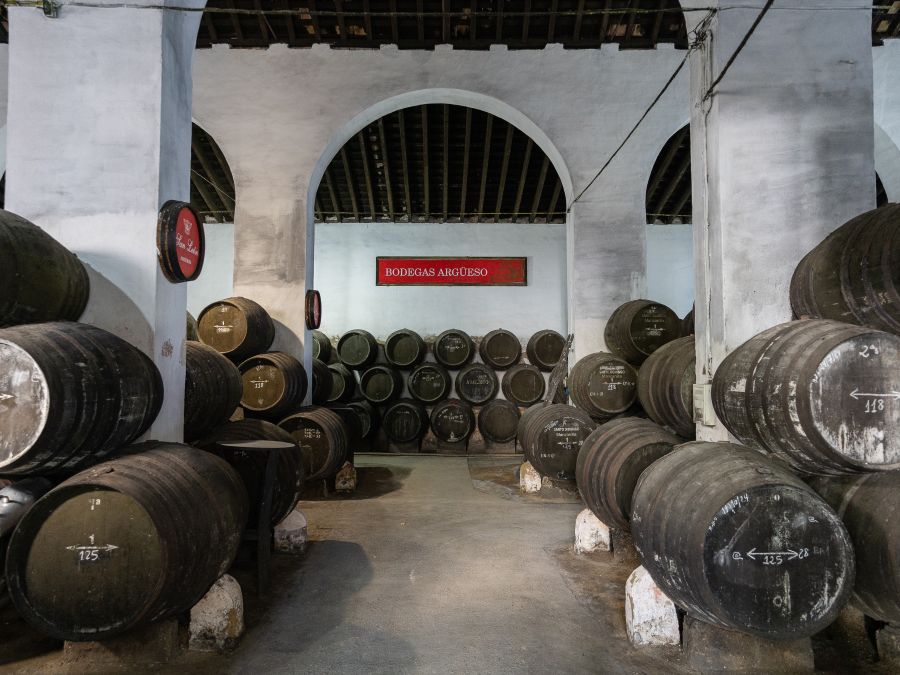 Logotipo Bodegas Argüeso