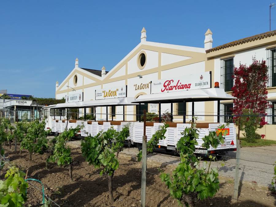 Bodegas Delgado Zuleta