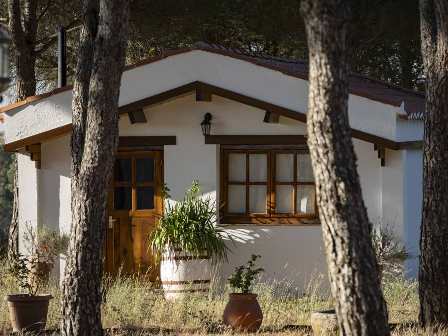 Enoturismo la Viña del abuelo