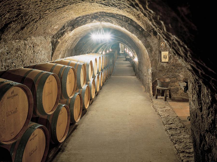 Logotipo Bodegas Ismael Arroyo ValSotillo