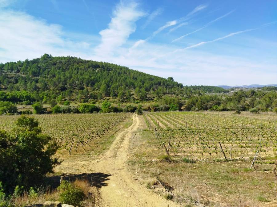 El Mirador de Les Llomes, Bodegas Besalduch Valls & Bellmunt