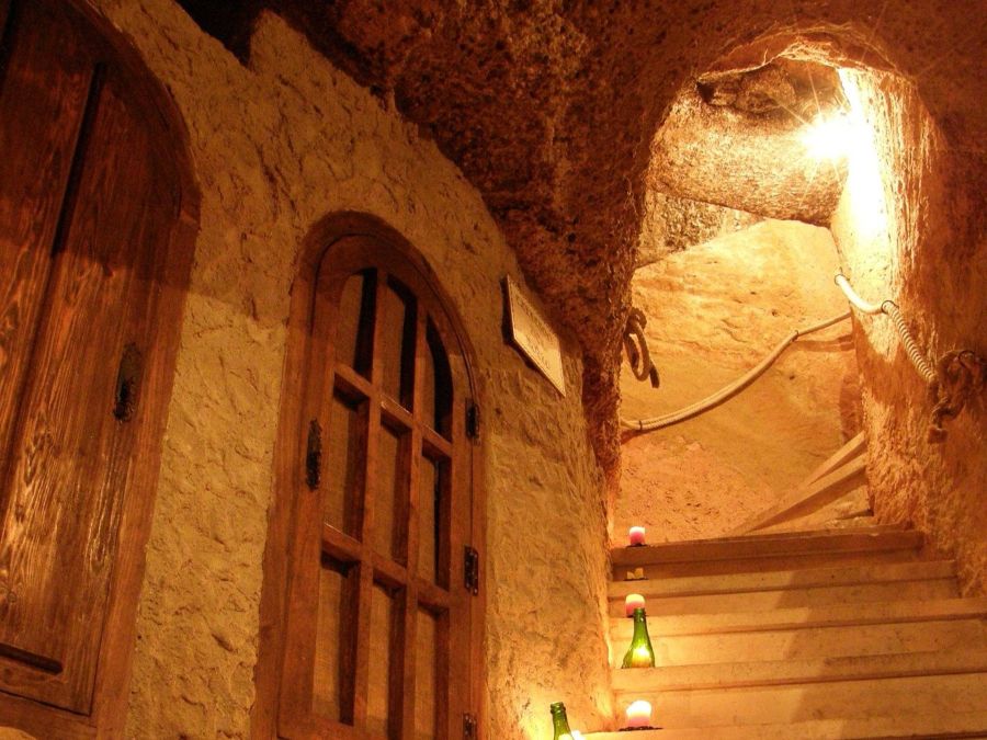 Logotype Bodega Histórica Don Carlos