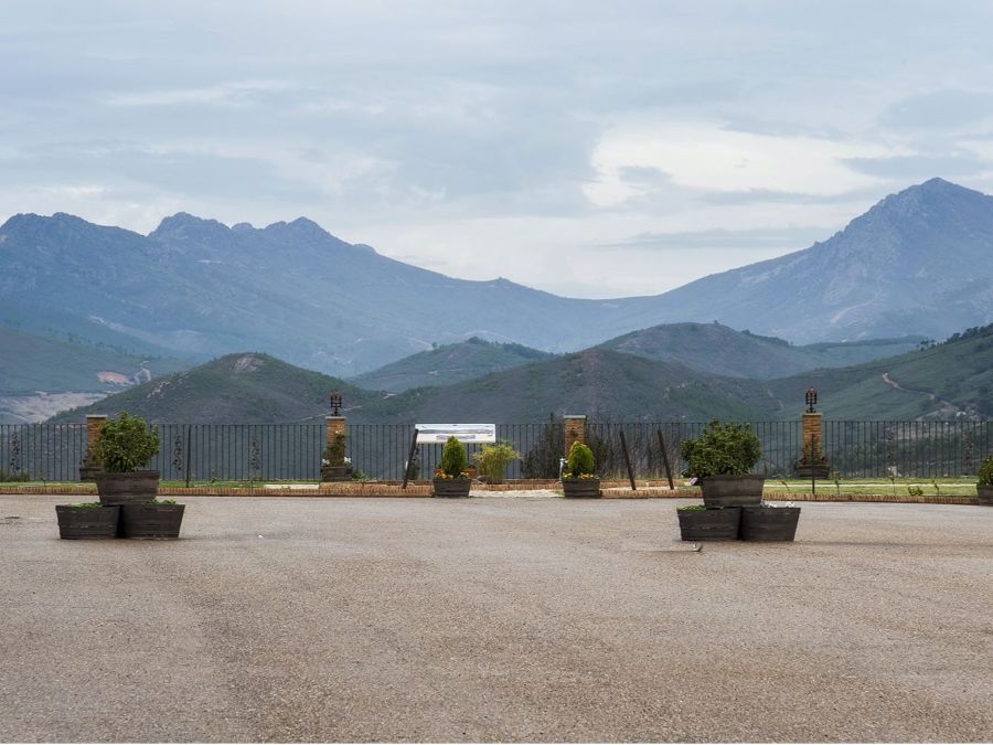Cata maridaje con plato típico extremeño en Bodegas Ruiz Torres
