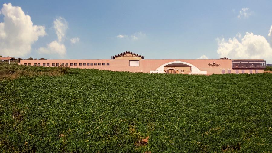 Logotype Bodega Solterra