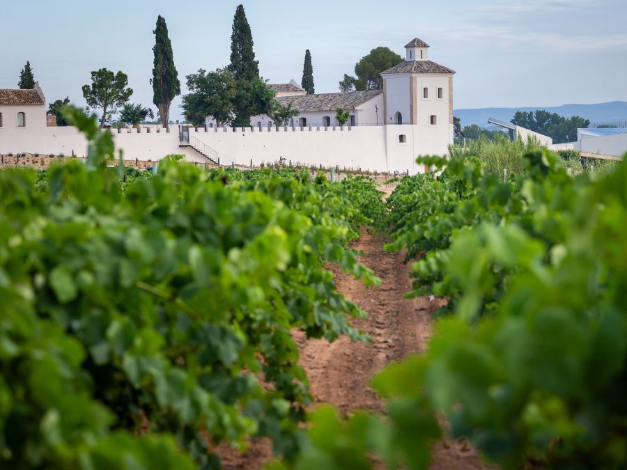 Finca Calderón Enoresort | Raíces Ibéricas
