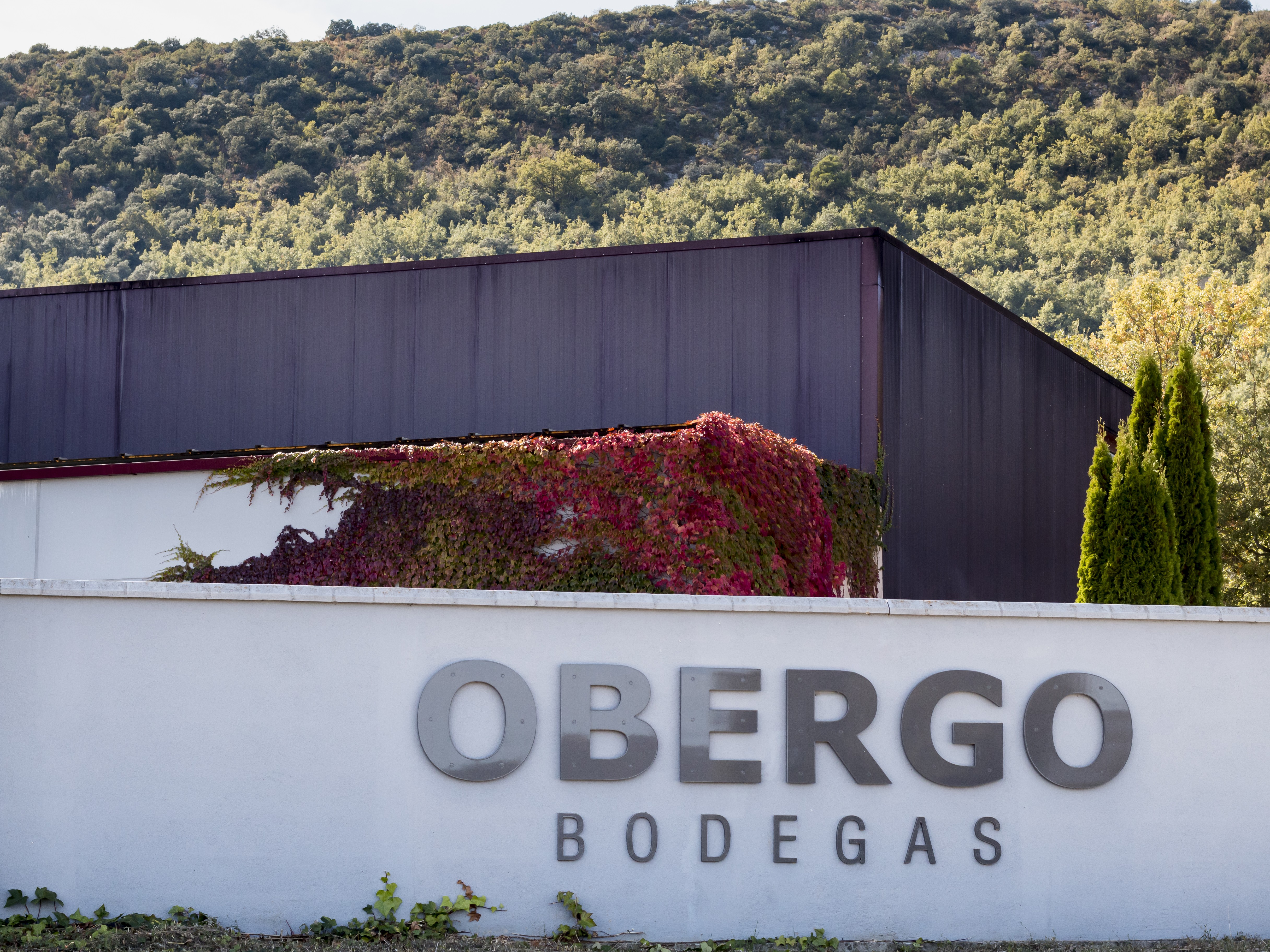 Logotipo Bodegas Obergo
