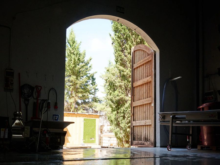 Logotipo Bodega Viña de Eufemia