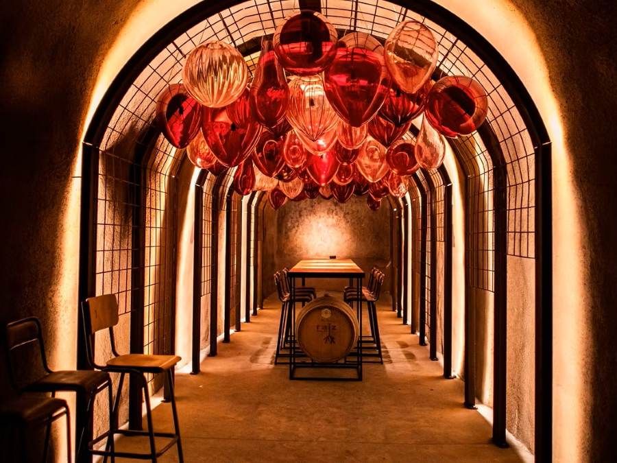 Logotipo Bodegas Raiz de Guzmán