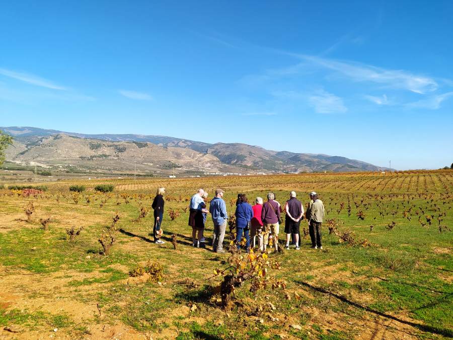 Nueva experiencia Cortijo El Cura almuerzo y cata