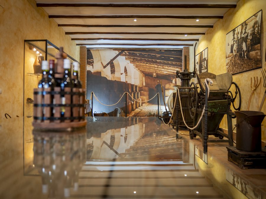 Logotipo Museo del Mosto Castillo de Moriles