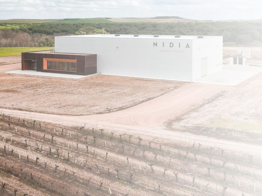 Logotipo Bodegas Nidia