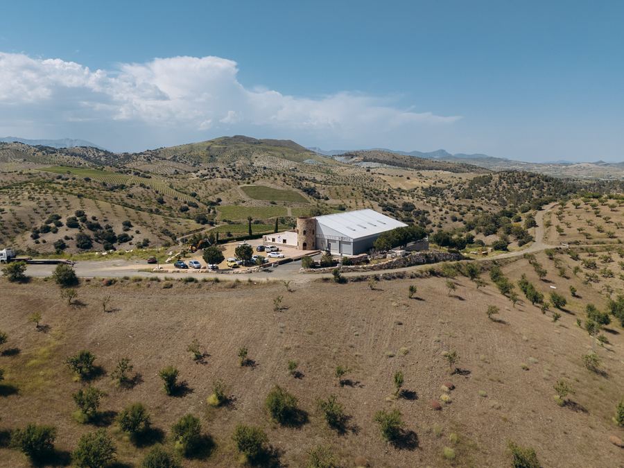 Bodega Palomillo V&eacute;lez-Rubio Almería