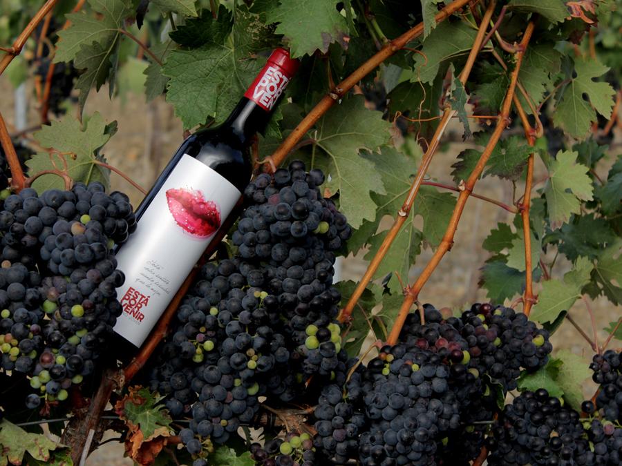 Logotipo Bodega Palomillo