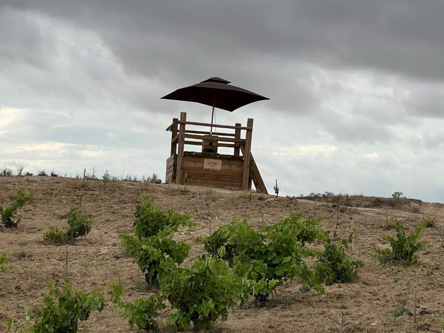 Logotipo Menchaca Wines