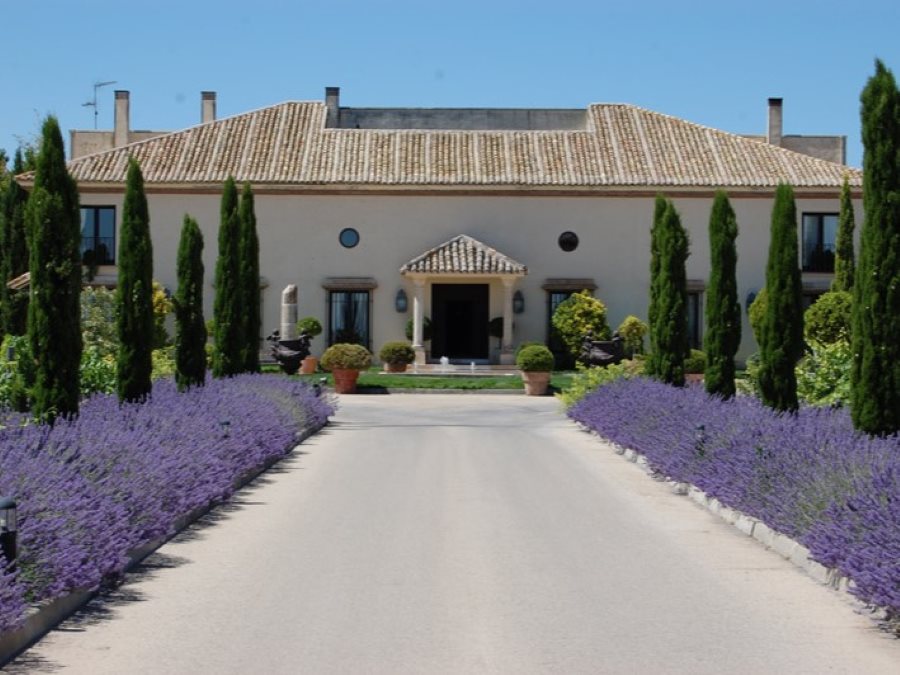Logotipo Bodegas Martúe