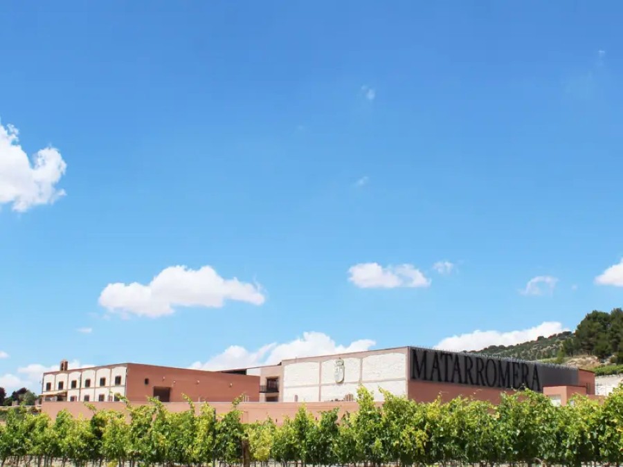 Bodegas Matarromera, Valbuena de Duero, Valladolid