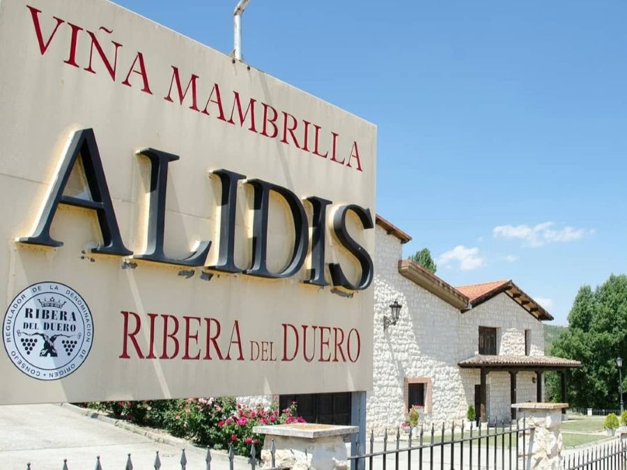 Logotipo Bodega Mambrilla