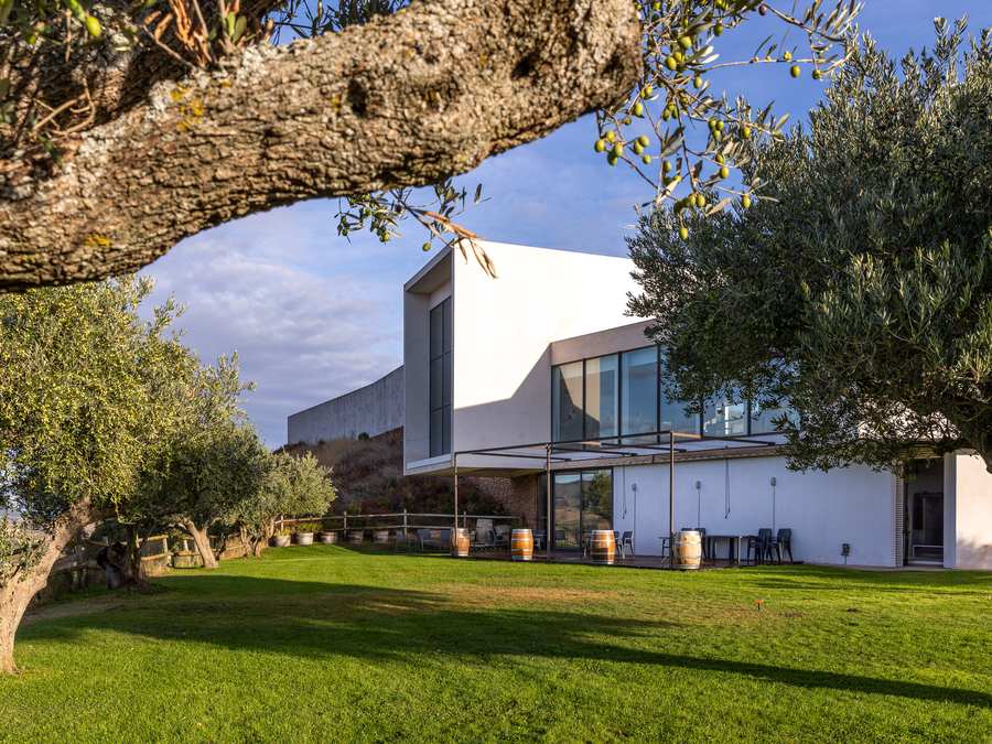 Logotipo Hotel Bodega & Spa Finca de los Arandinos