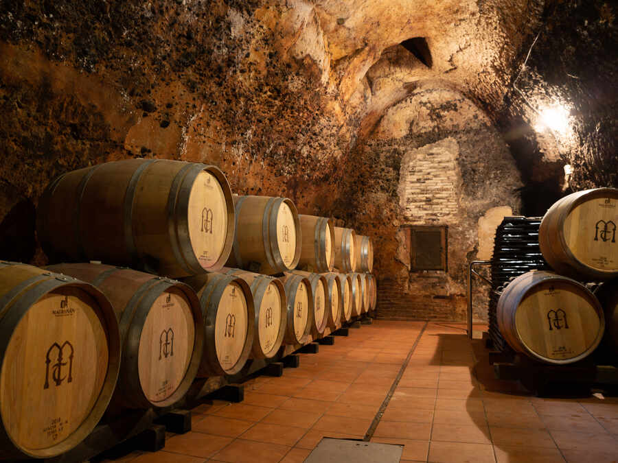 Logotipo Bodega Muelas de Tordesillas