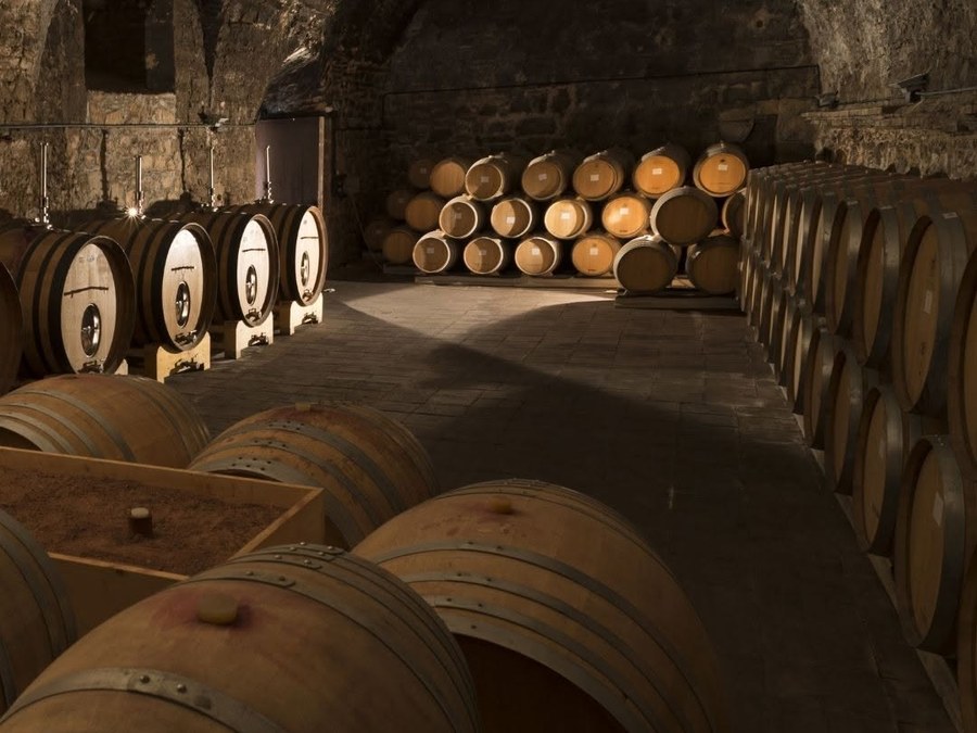 Logotipo Bodega Cellers de Scala Dei