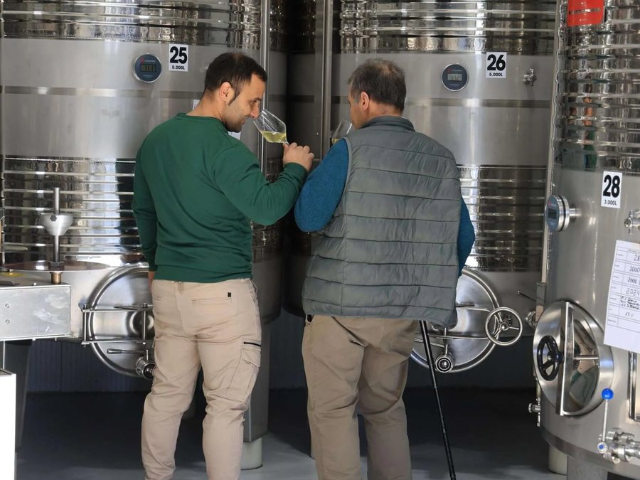 Logotipo Bodega Manuel Vázquez Losada