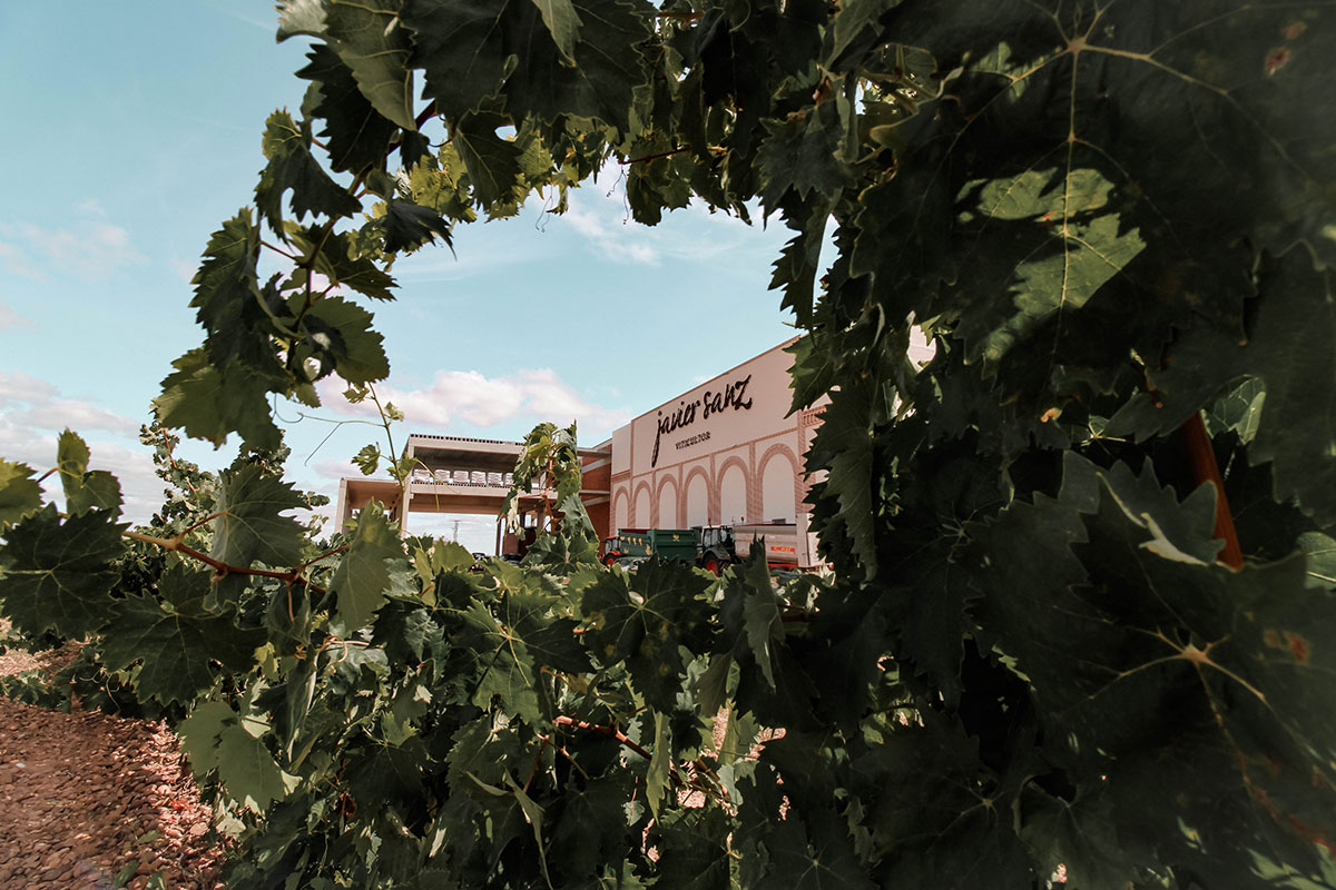 Bodegas Javier Sanz Viticultor