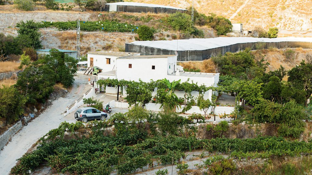 Bodega Rambla de Huarea
