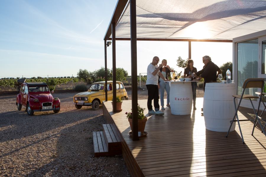 Bodegas Más que Vinos