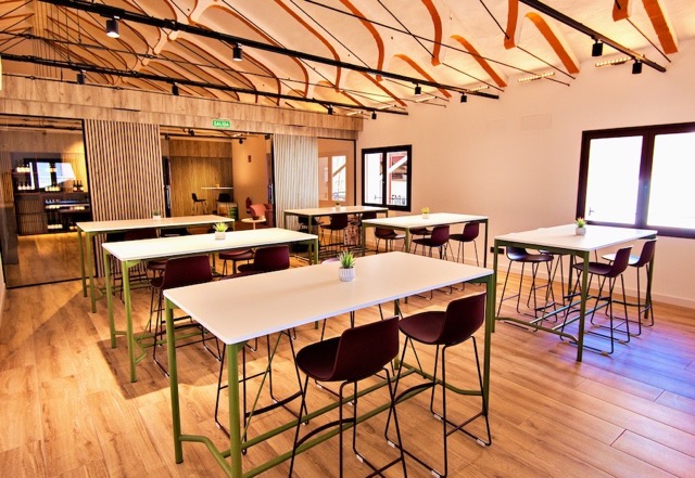 Bodegas Vinos Jeromín Catas