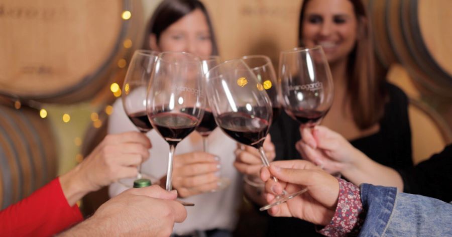 Cata Vinos Silvano García