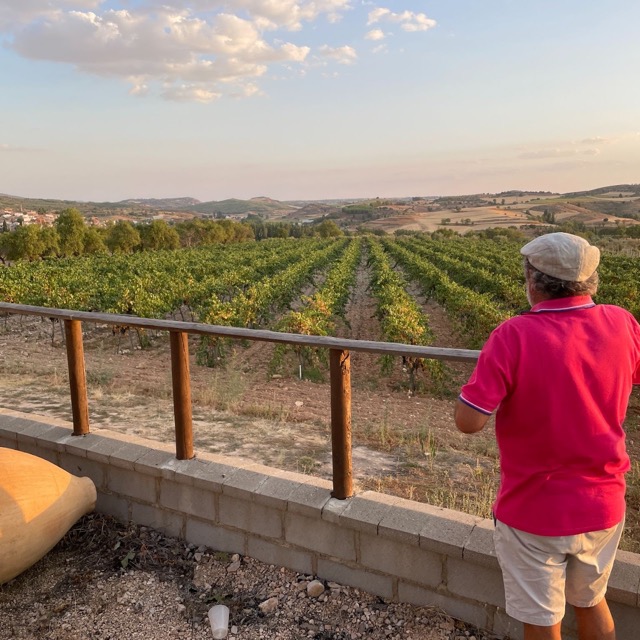 Bodega Enrique Moreno