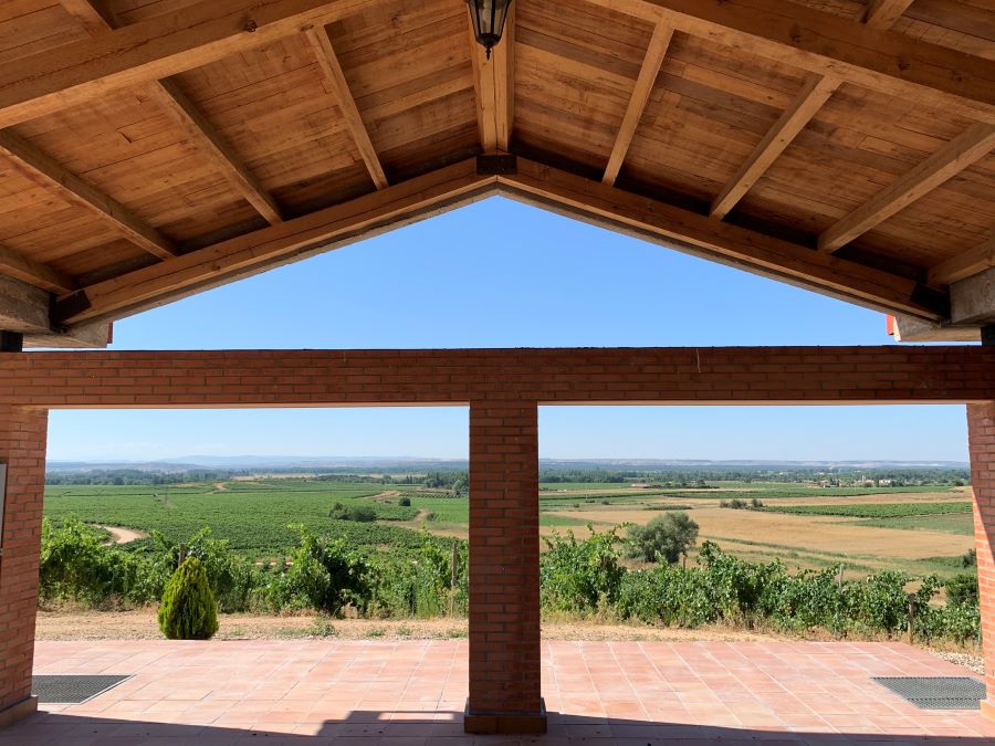 Viñedo de Bodegas Durón en Ribera del Duero