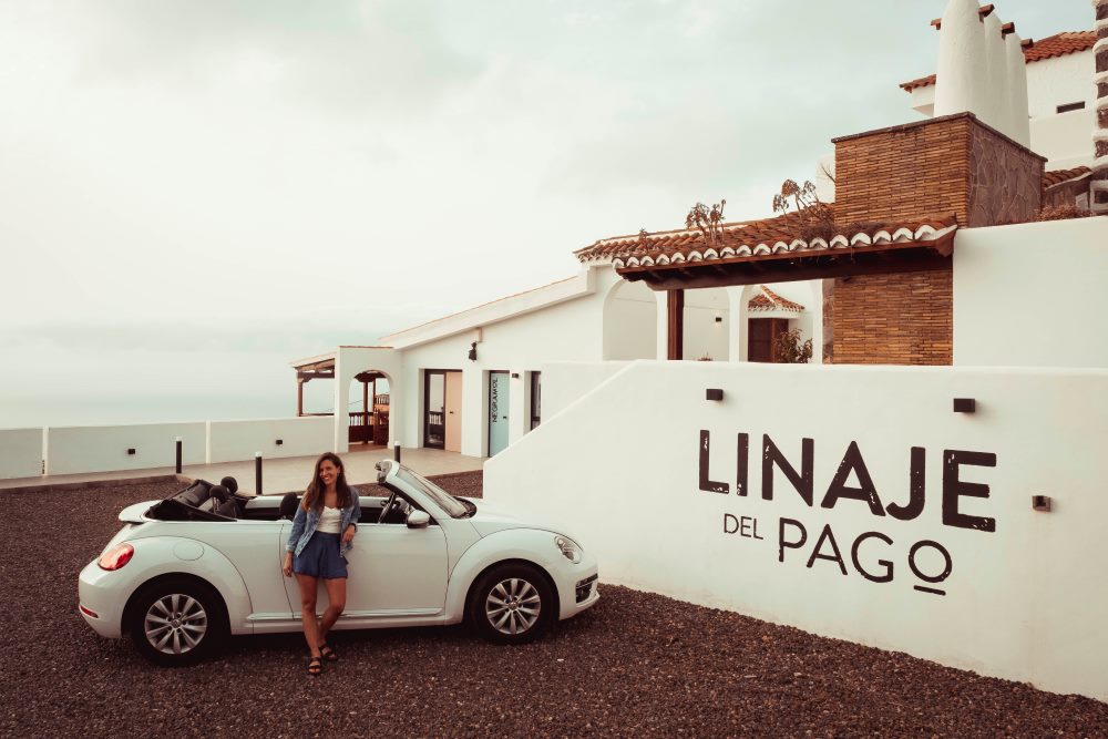 Bodega Linaje del Pago