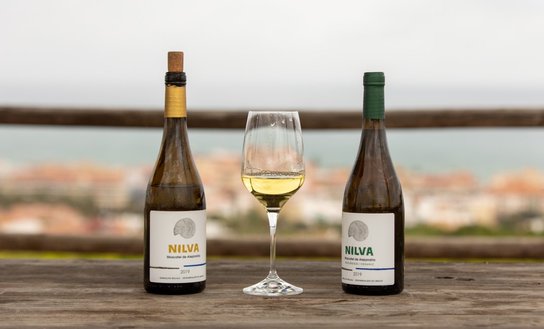 Vino Nilva