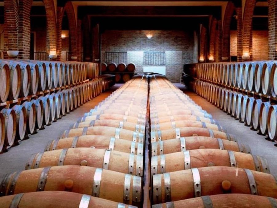 Sala de Barricas Bodegas Marqu&eacute;s de Griñón