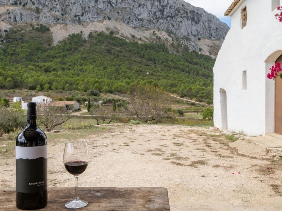 Vinos Tinto Crianza Bodegas Xaló