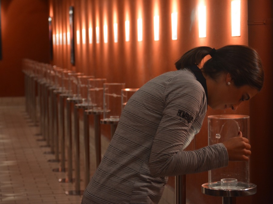 Sala de los aromas Bodegas Marco Real