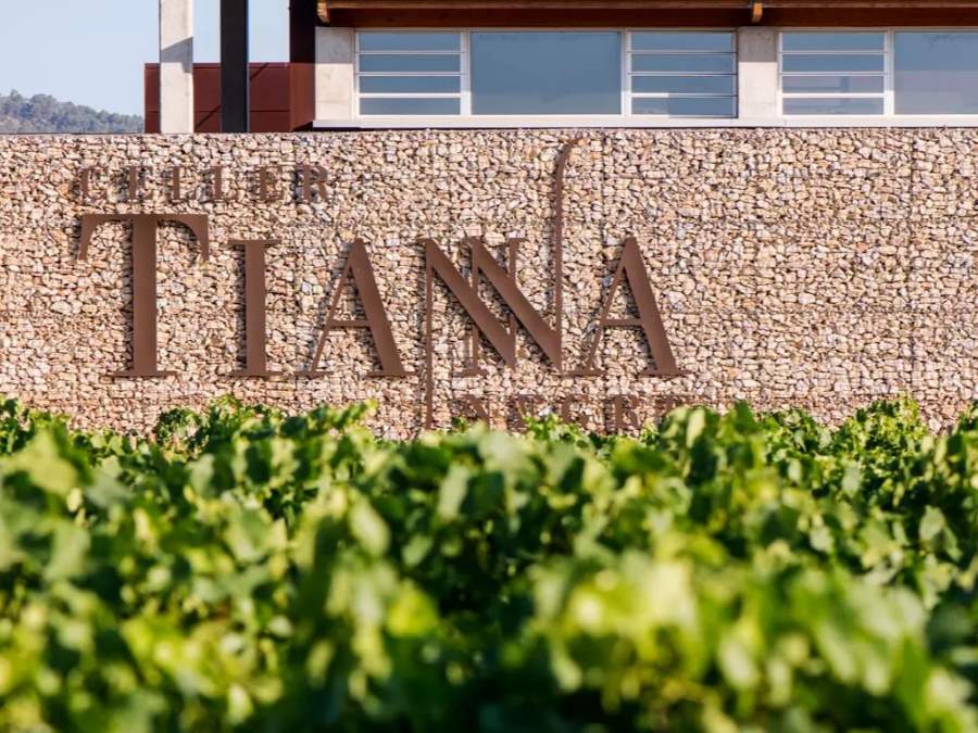 Proceso de producción Tianna Negre